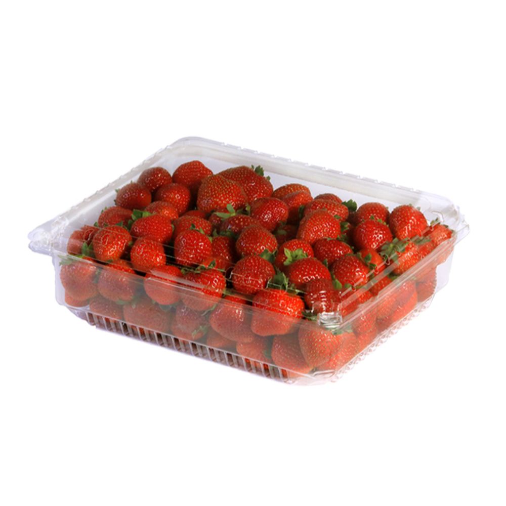 4LB CLAMSHELL STRAWBERRIES Sambrailo Packaging