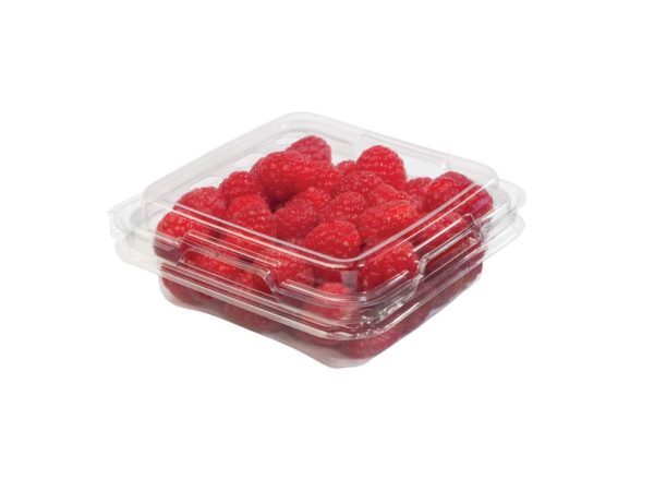 6OZ RASPBERRY CLAMSHELL