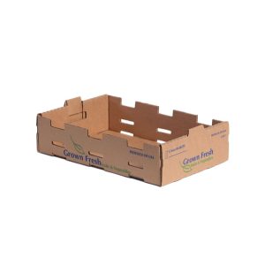 12-6 OZ TRAY