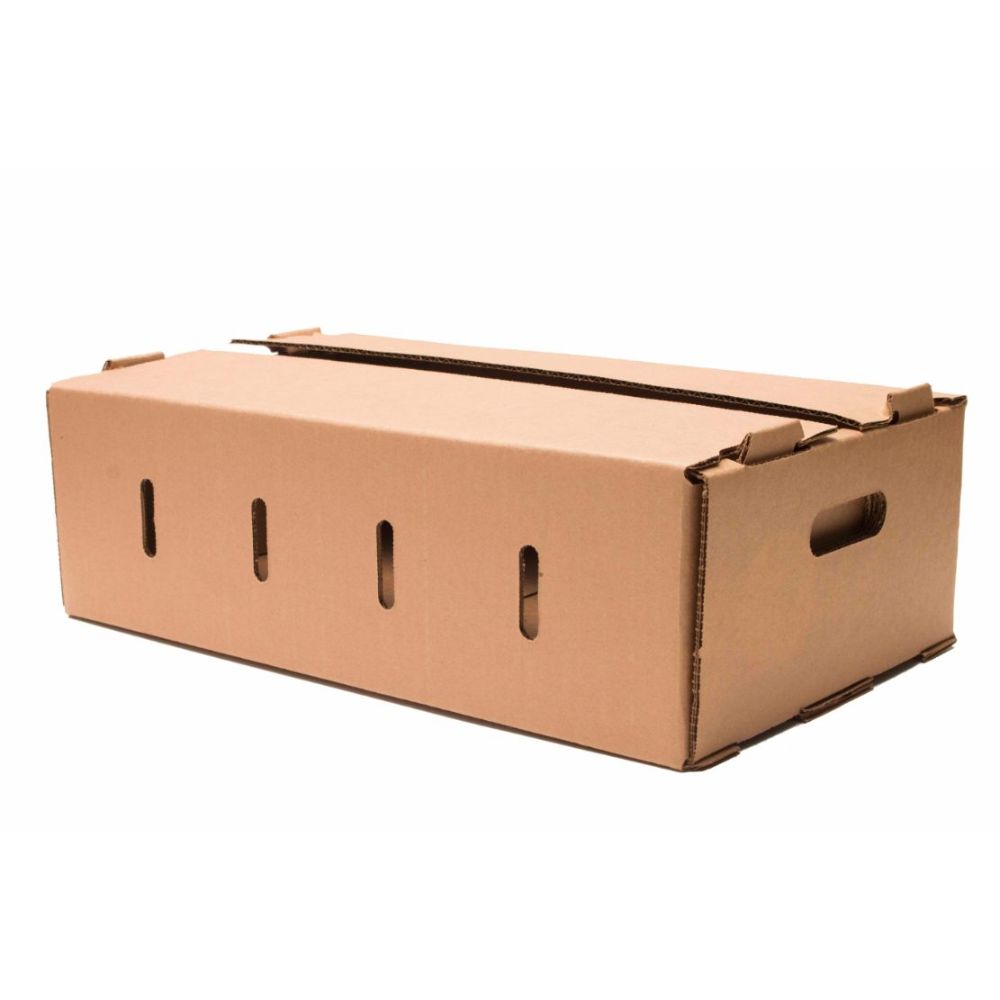 PLAIN KRAFT DOUBLE LAYER TOMATO BOX Sambrailo Packaging